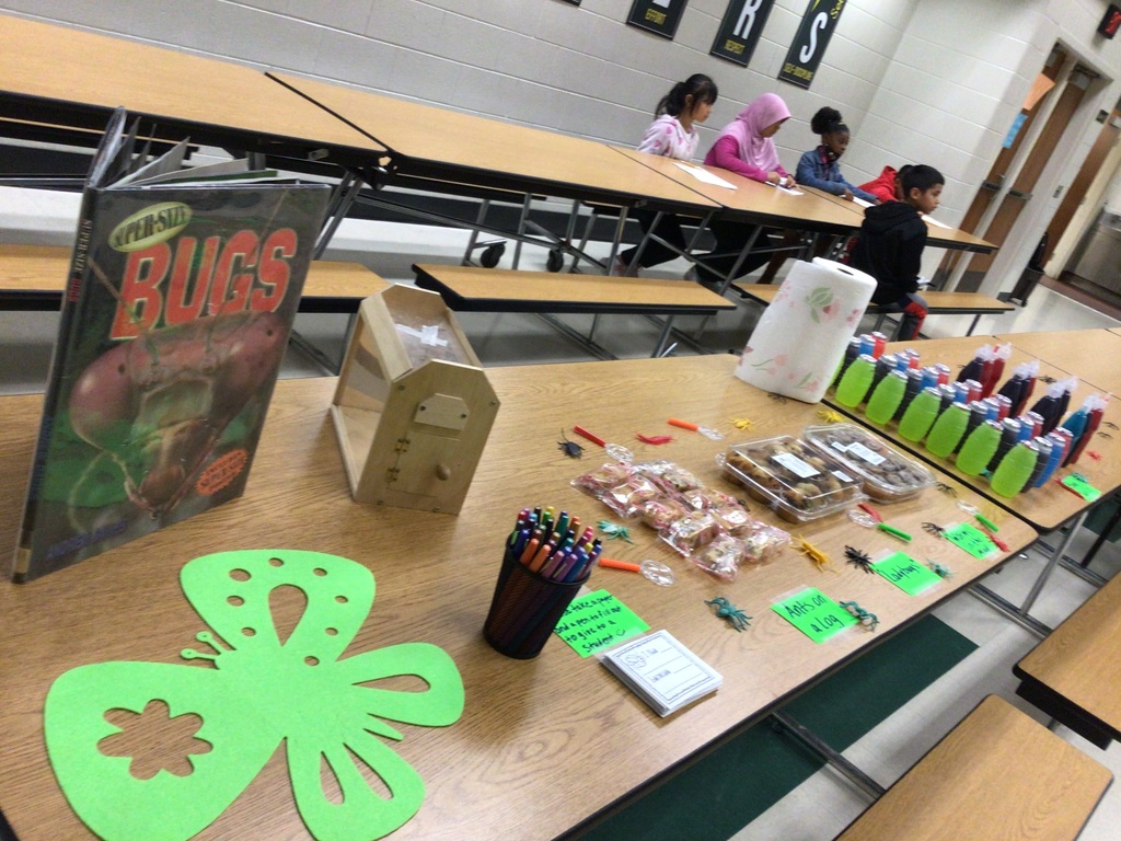 fourth grade's bug project